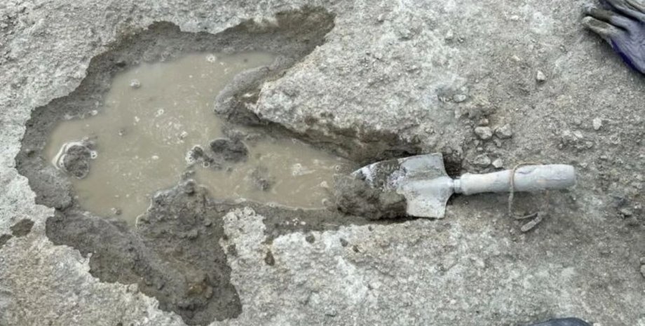 археологи нашли самый длинный непрерывный след динозавров