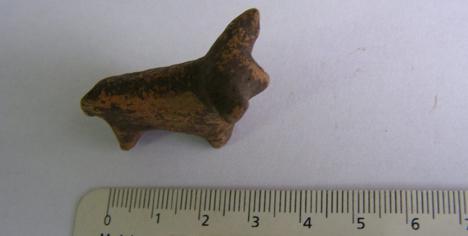 Артефакт нашли вблизи Галича