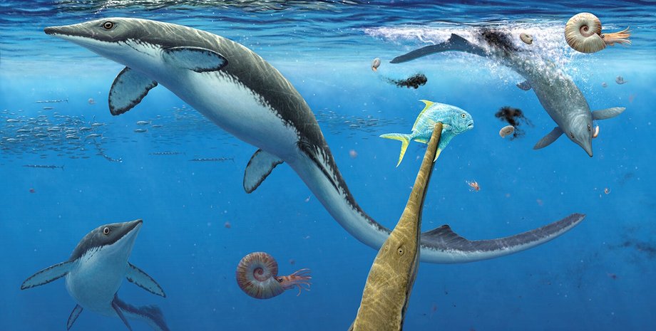 древние рптилии в океане
