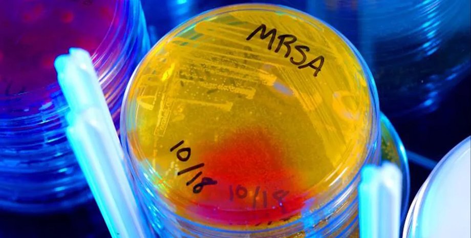 открытие антибиотика