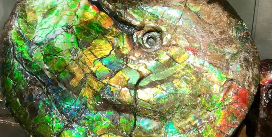 камень аммолит