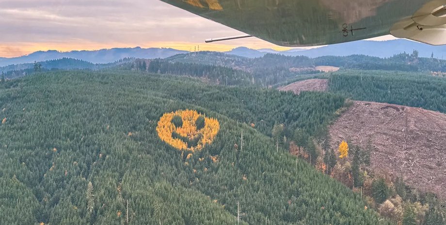 смайл орегонский лес