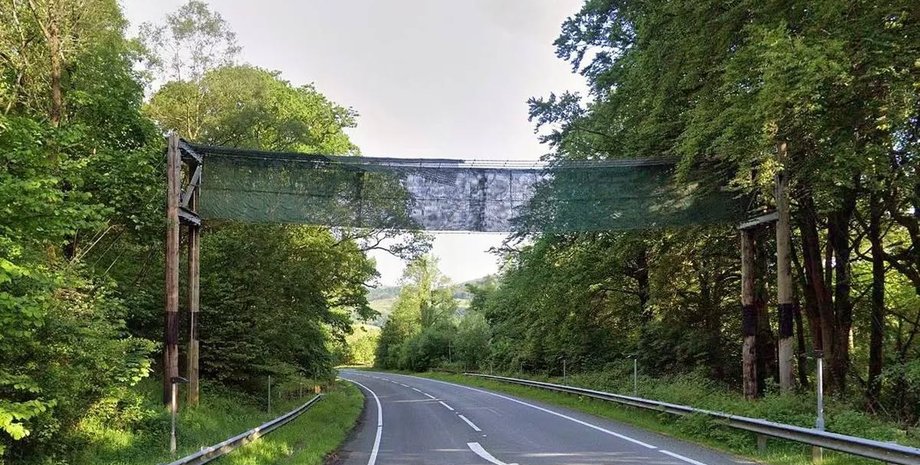 сеточный мост для летучих мышей