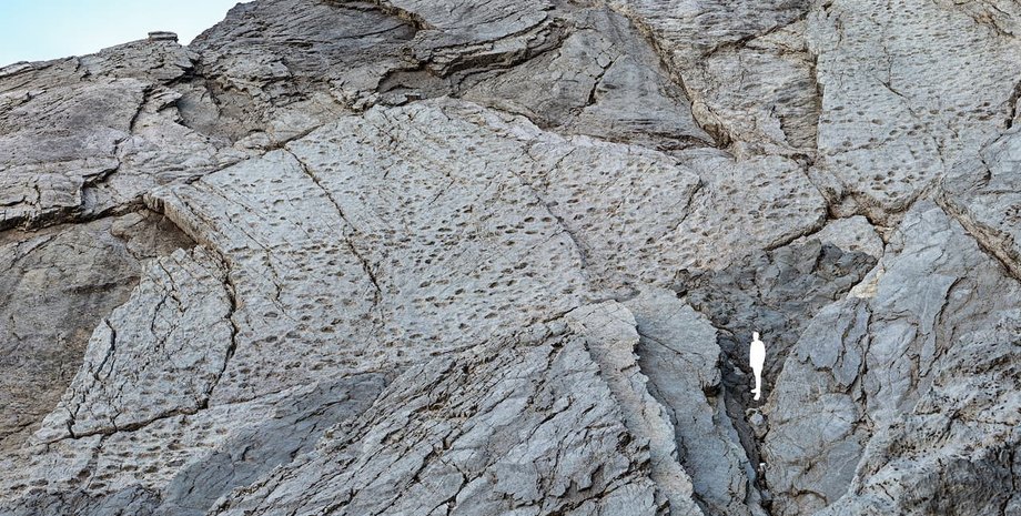 В Альпах нашли следы динозавров