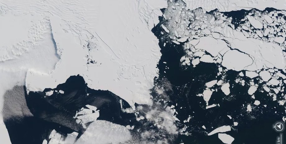 ледник туэйтса